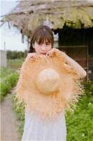 又是梨花欲谢时