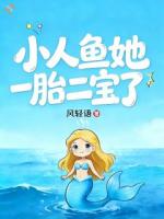 小人鱼她一胎二宝了